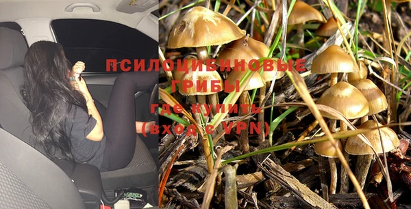 крисы Балахна